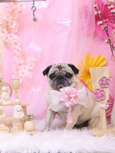 20250313くりこちゃん